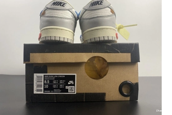 DM1602-113 Dunk Lot Low 5 O-W Nike 0708